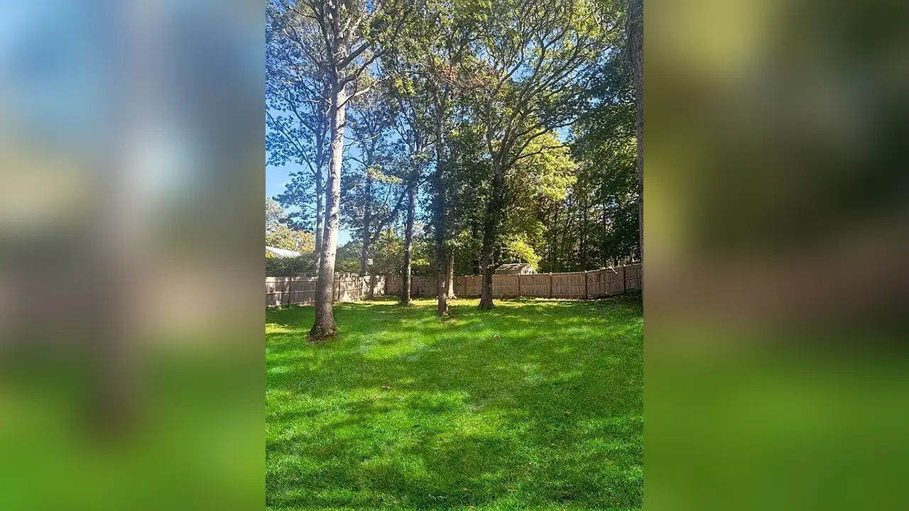 292 Megan Rd - Image 4